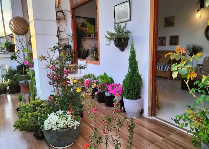 Strawberry Hotel Dalat