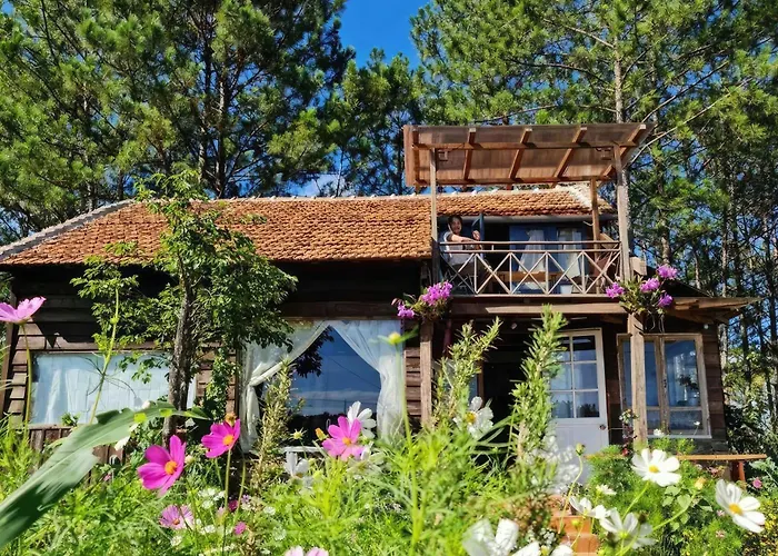 Romantic House On A Pine Hill Dalat