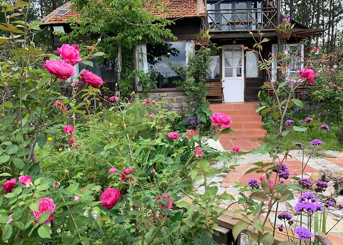 Romantic House On A Pine Hill Dalat