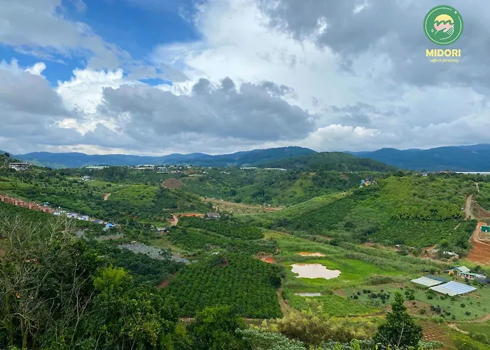 Midori Heritage Coffee Farm