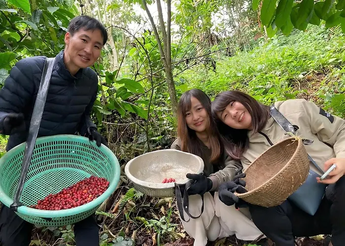 Midori Heritage Coffee Farm